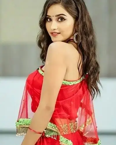 Call Girls Service Patur